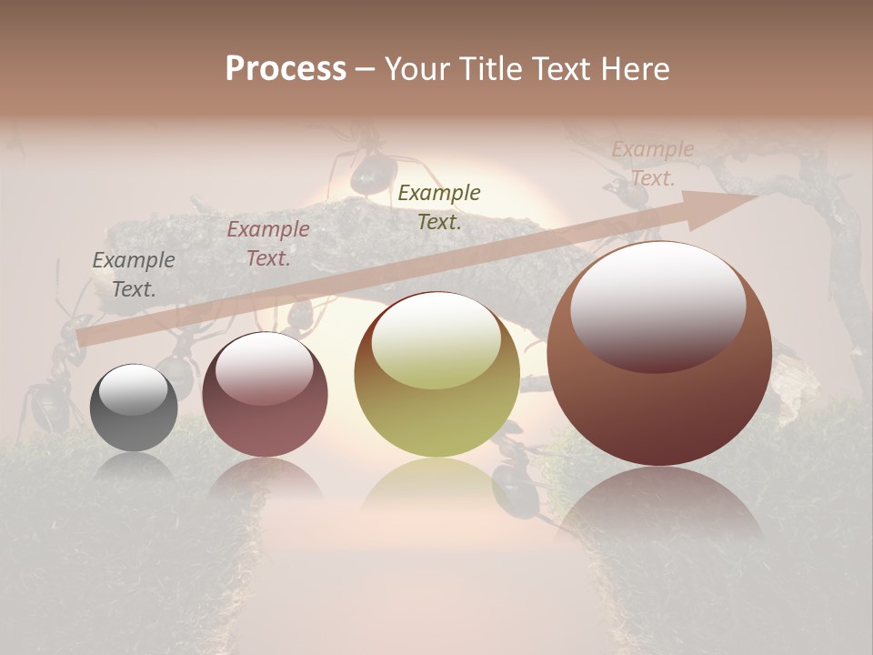 Fairytale Un Et Wood PowerPoint Template