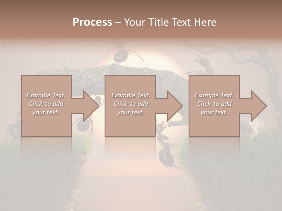 Fairytale Un Et Wood PowerPoint Template