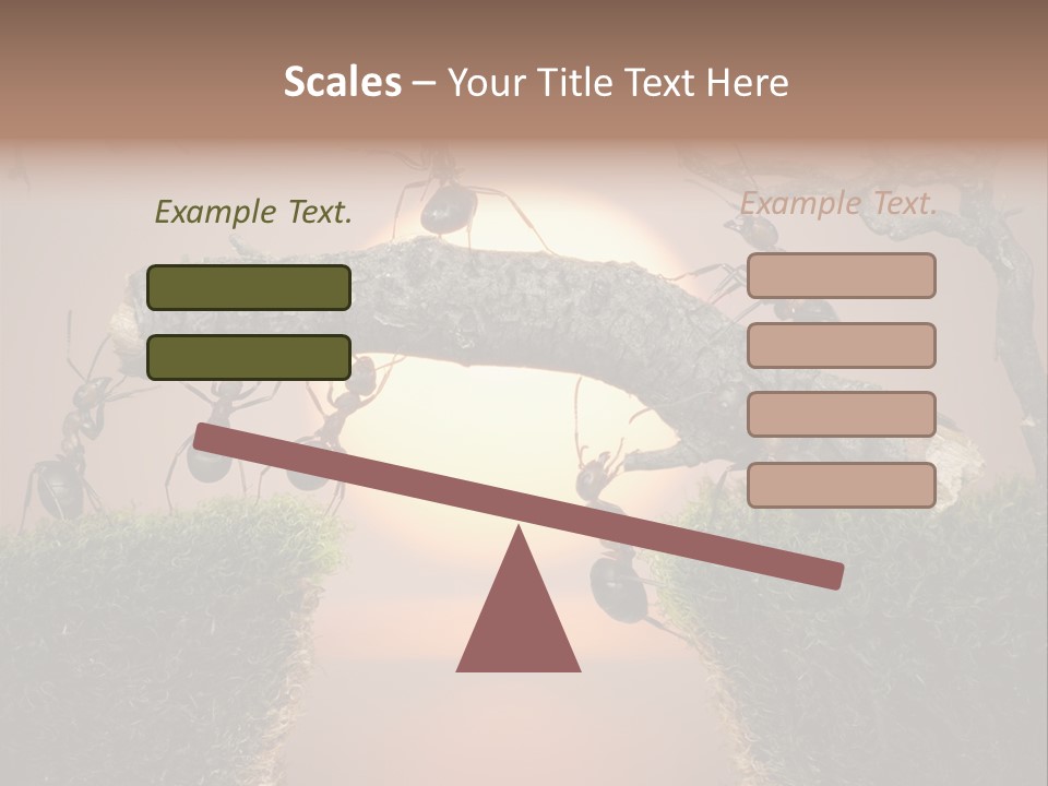 Fairytale Un Et Wood PowerPoint Template