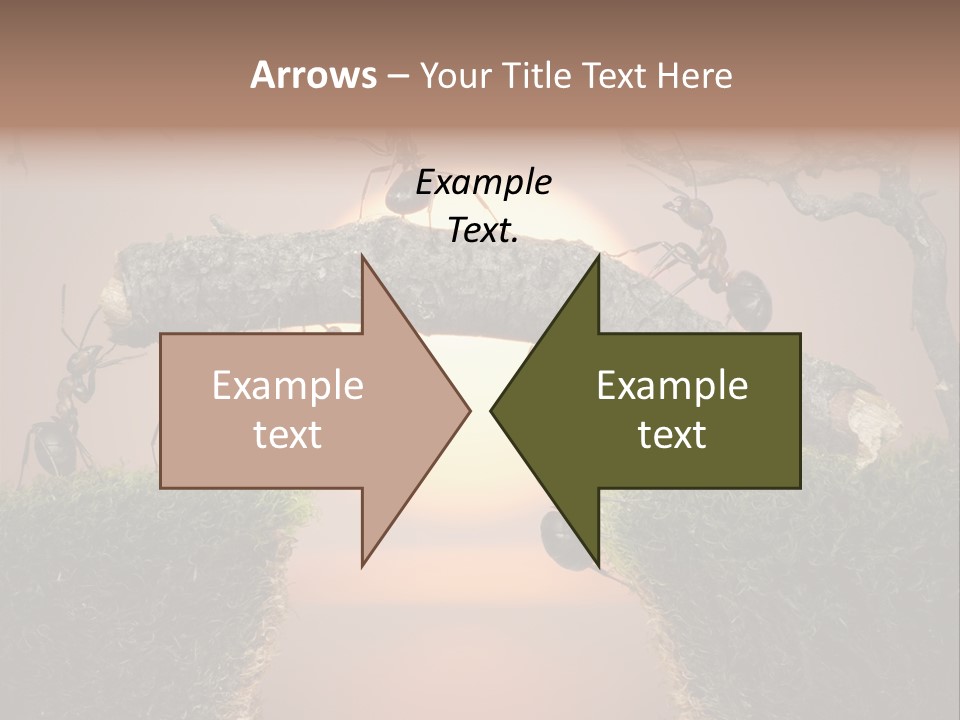 Fairytale Un Et Wood PowerPoint Template