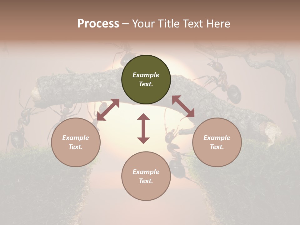 Fairytale Un Et Wood PowerPoint Template