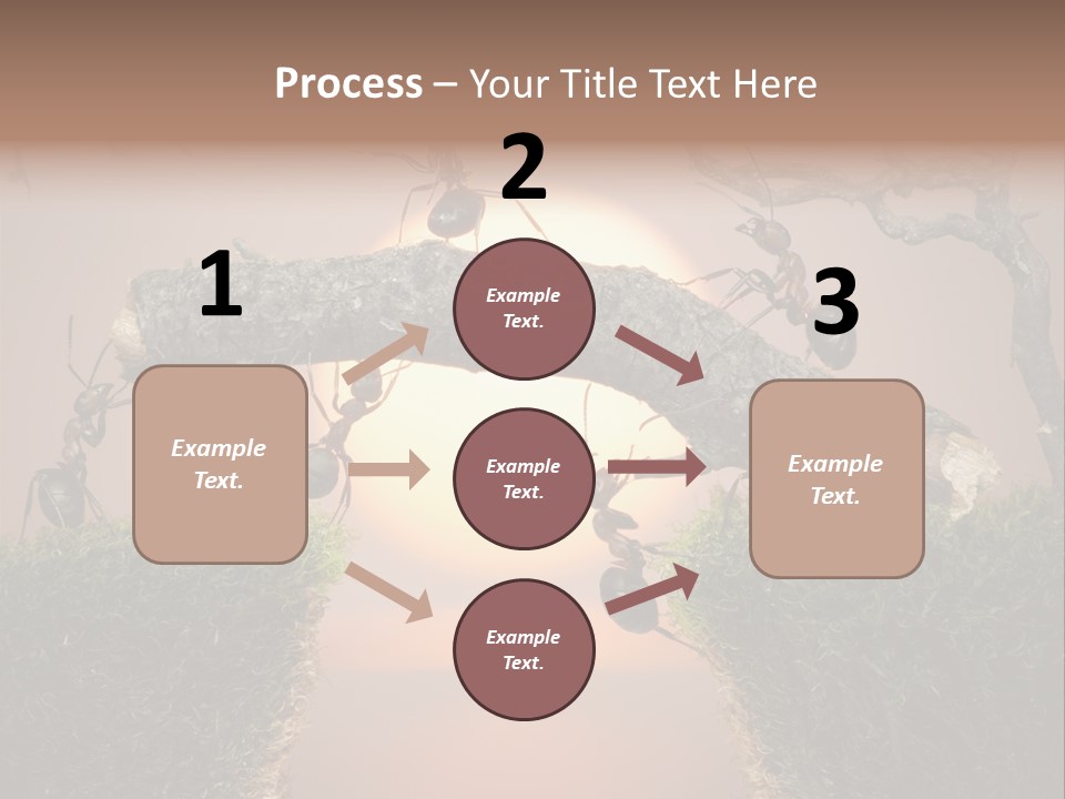 Fairytale Un Et Wood PowerPoint Template