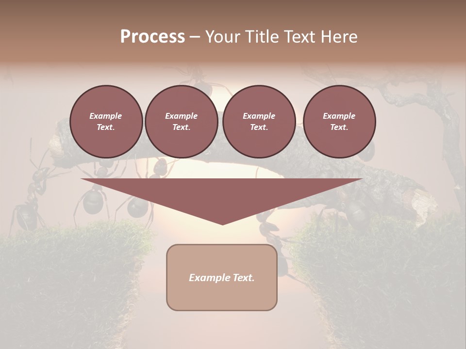 Fairytale Un Et Wood PowerPoint Template