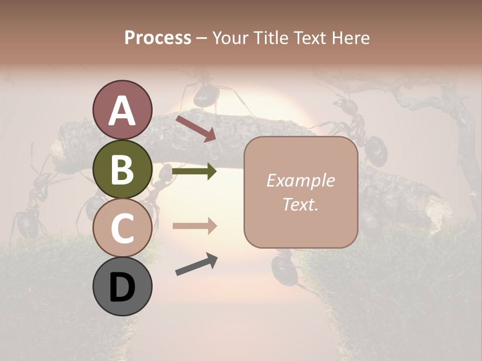 Fairytale Un Et Wood PowerPoint Template