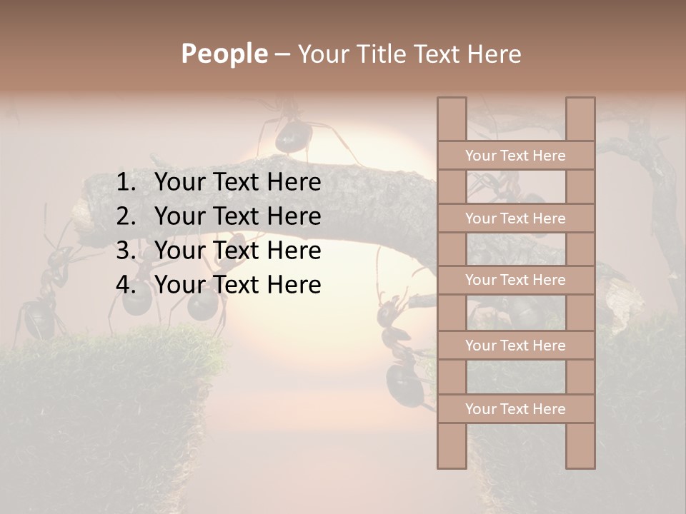 Fairytale Un Et Wood PowerPoint Template