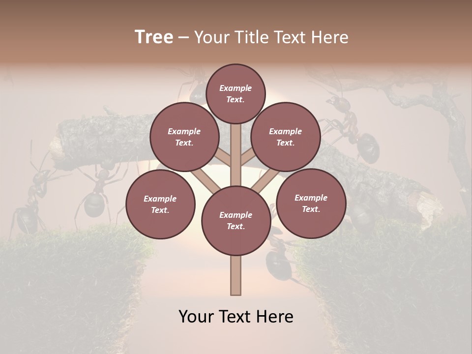 Fairytale Un Et Wood PowerPoint Template