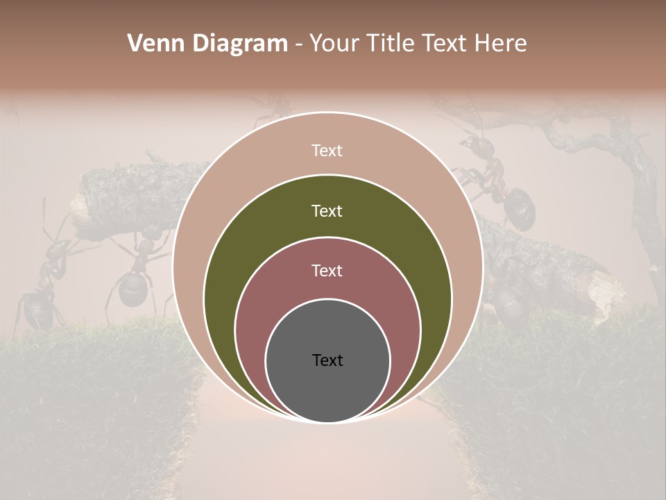 Fairytale Un Et Wood PowerPoint Template