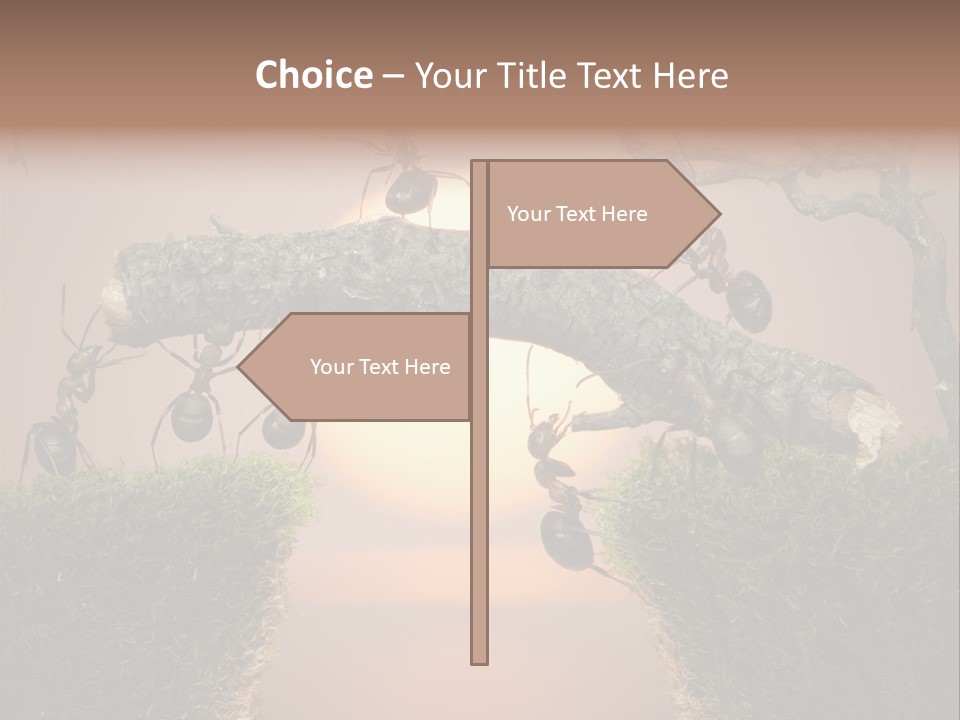 Fairytale Un Et Wood PowerPoint Template