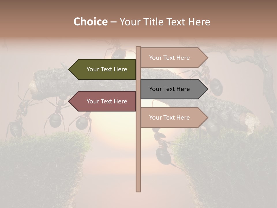 Fairytale Un Et Wood PowerPoint Template