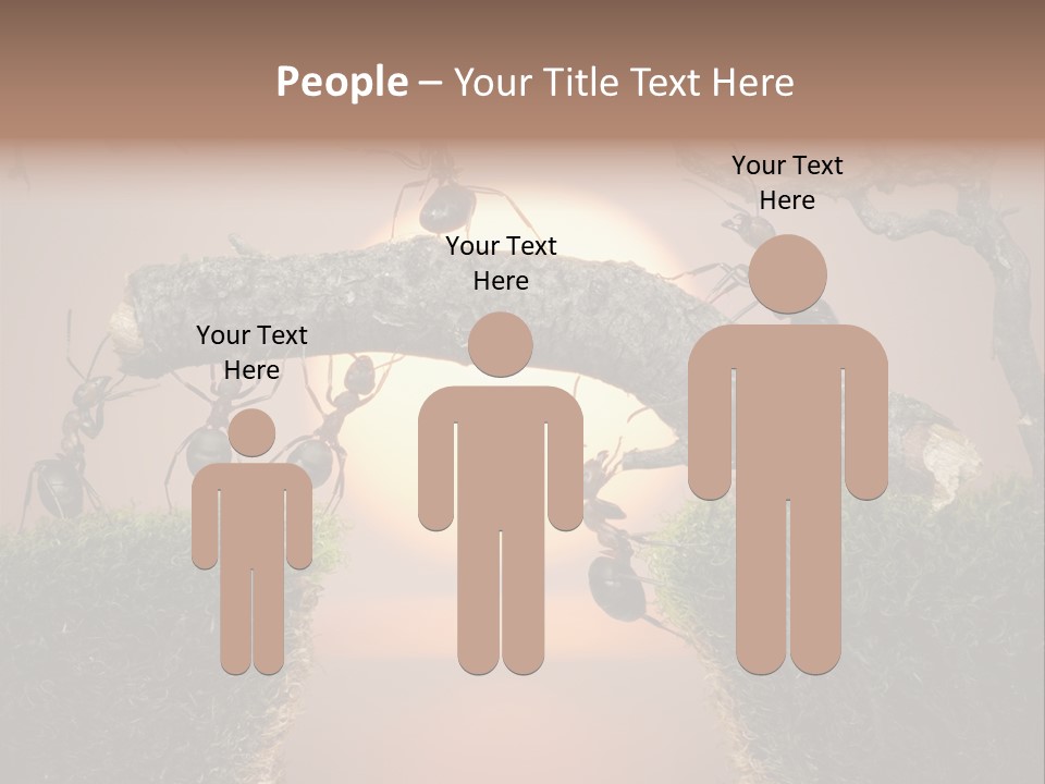 Fairytale Un Et Wood PowerPoint Template