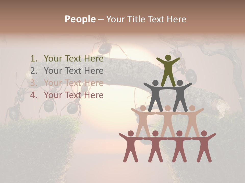 Fairytale Un Et Wood PowerPoint Template