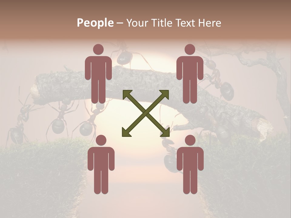 Fairytale Un Et Wood PowerPoint Template