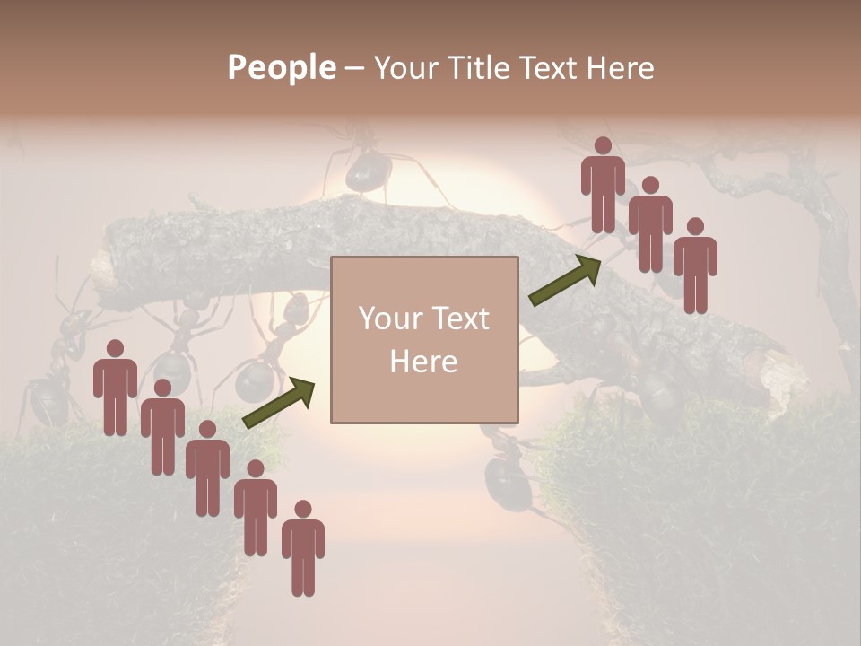 Fairytale Un Et Wood PowerPoint Template