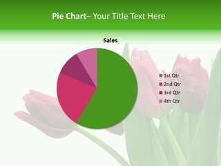 Cheerful Stem White PowerPoint Template