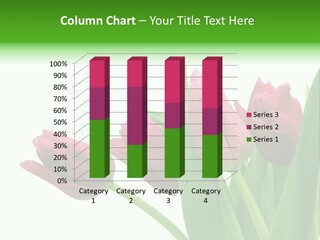 Cheerful Stem White PowerPoint Template