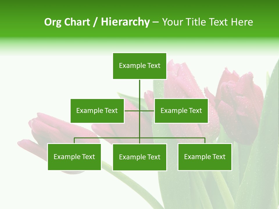 Cheerful Stem White PowerPoint Template