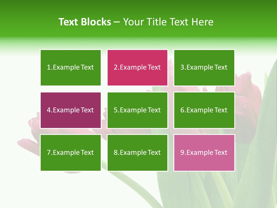 Cheerful Stem White PowerPoint Template