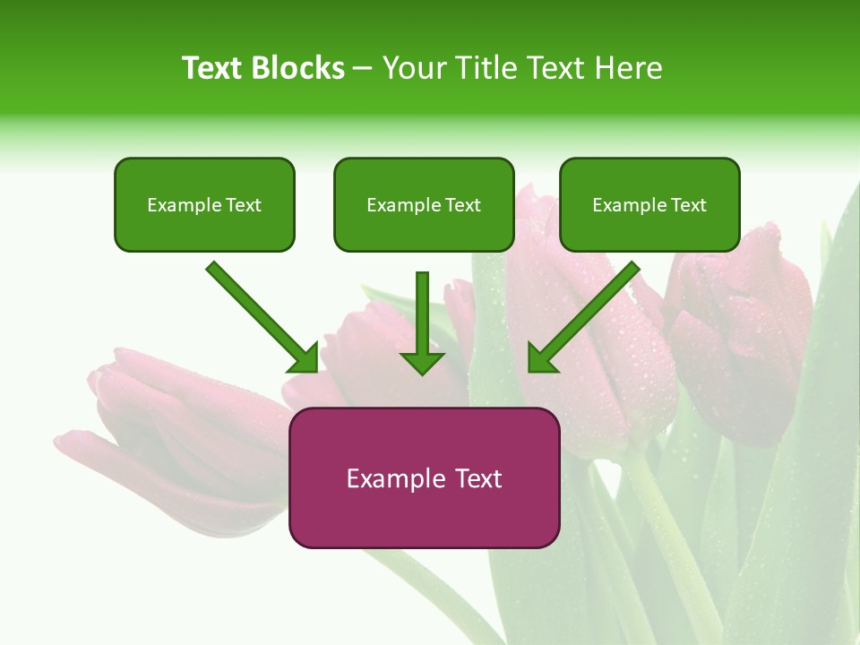 Cheerful Stem White PowerPoint Template