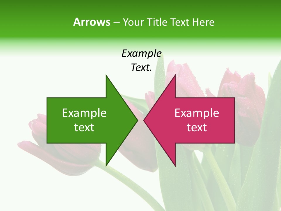 Cheerful Stem White PowerPoint Template
