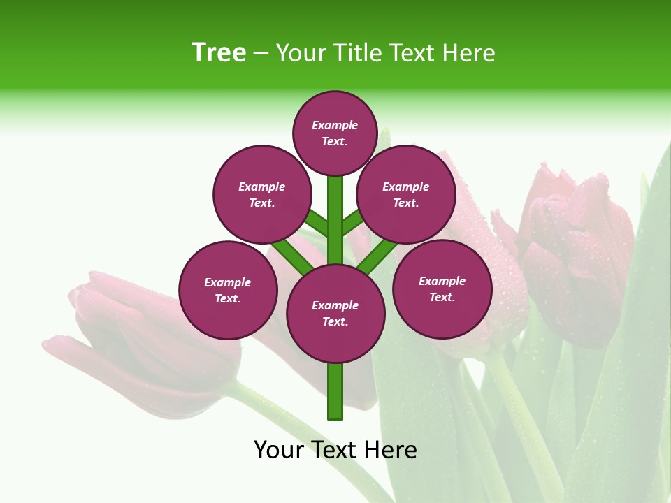 Cheerful Stem White PowerPoint Template