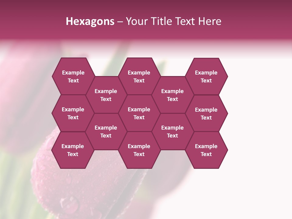 Space Pretty Garden PowerPoint Template