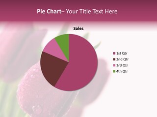 Space Pretty Garden PowerPoint Template