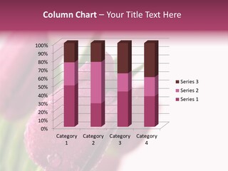 Space Pretty Garden PowerPoint Template