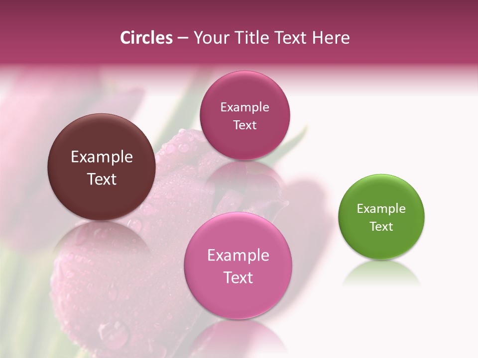 Space Pretty Garden PowerPoint Template