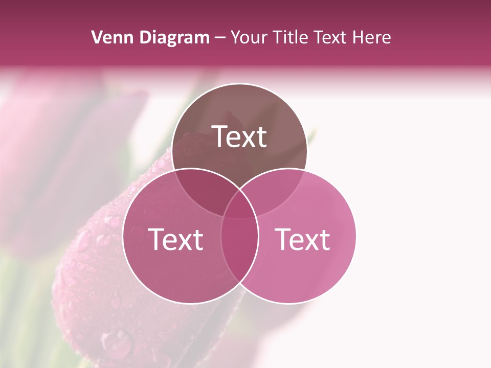 Space Pretty Garden PowerPoint Template