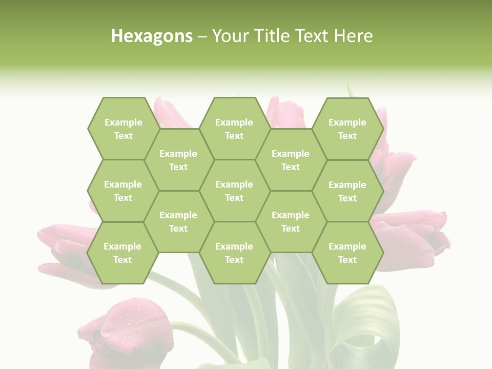 Bloom Stalk Present PowerPoint Template