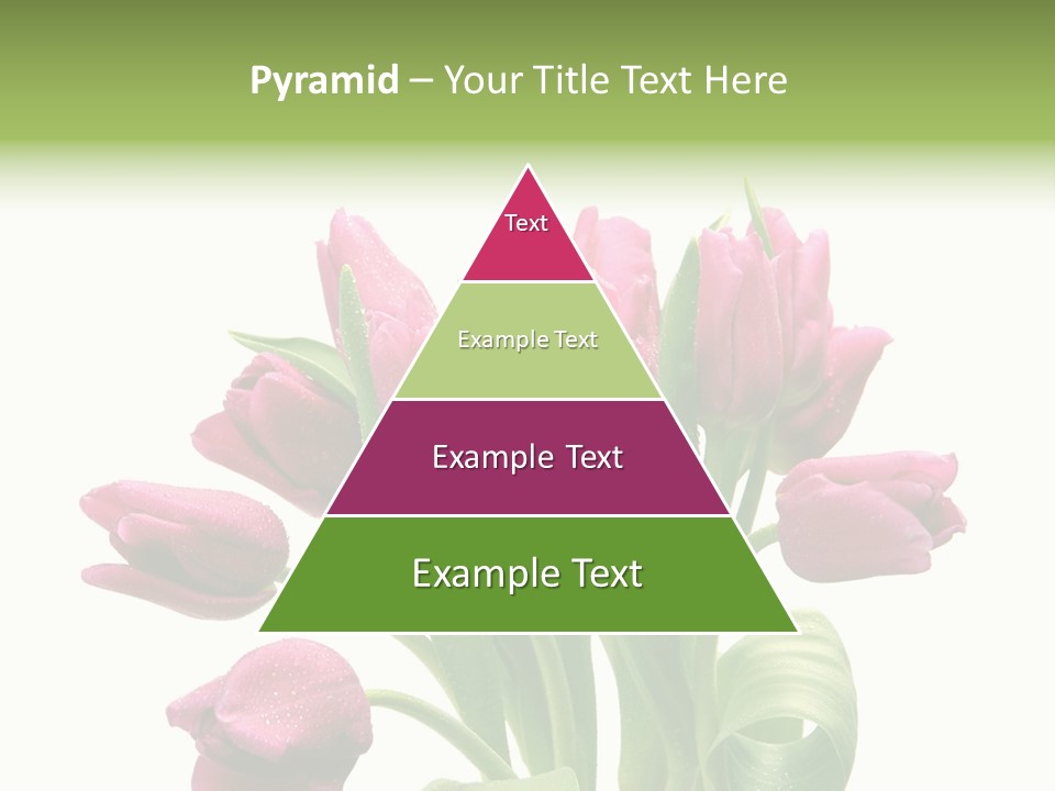 Bloom Stalk Present PowerPoint Template