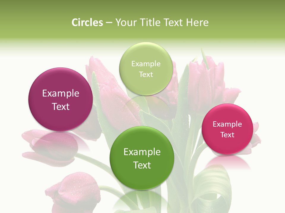 Bloom Stalk Present PowerPoint Template