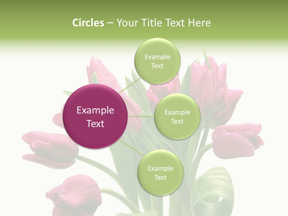 Bloom Stalk Present PowerPoint Template