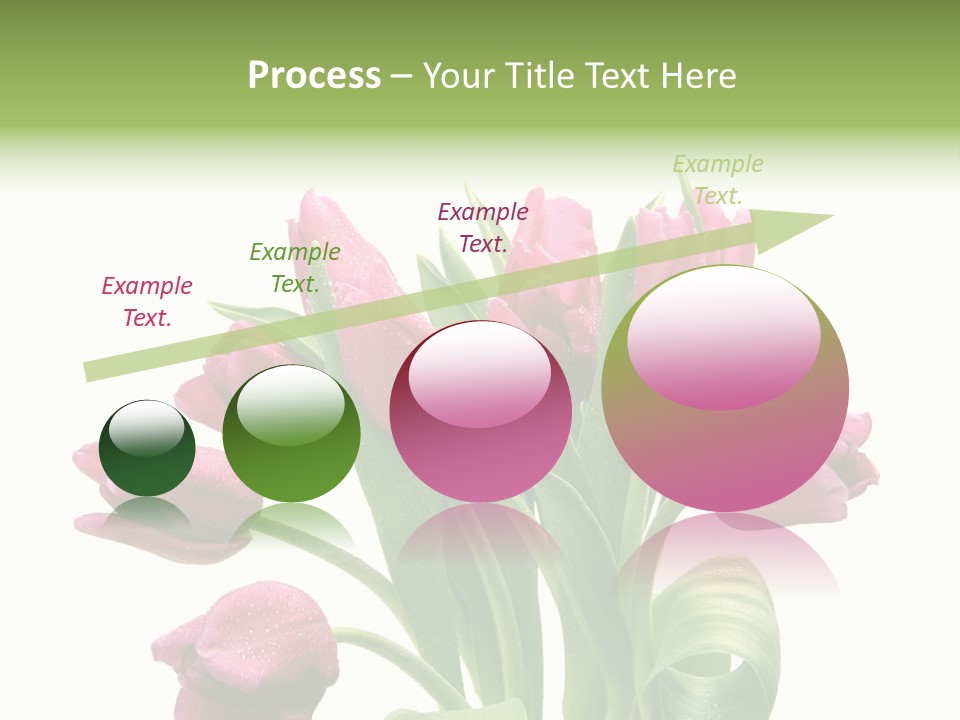 Bloom Stalk Present PowerPoint Template