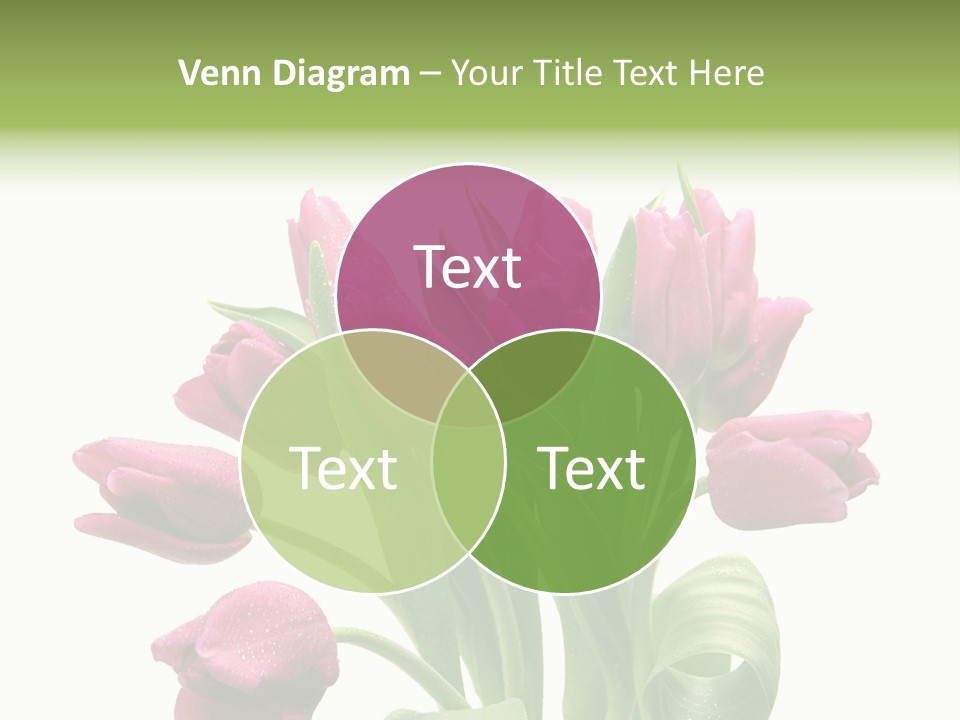 Bloom Stalk Present PowerPoint Template