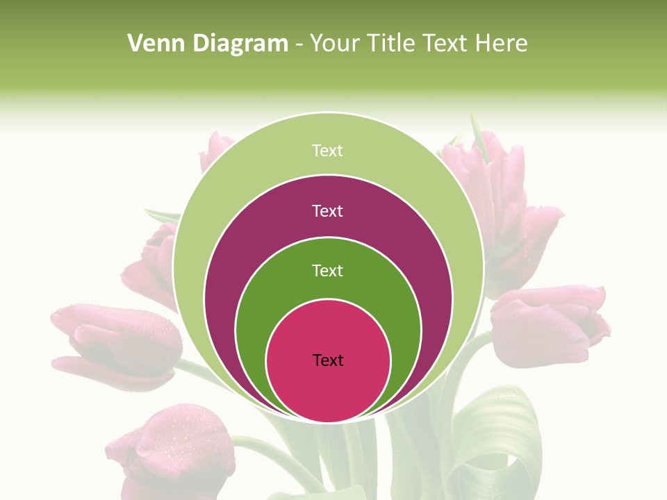 Bloom Stalk Present PowerPoint Template