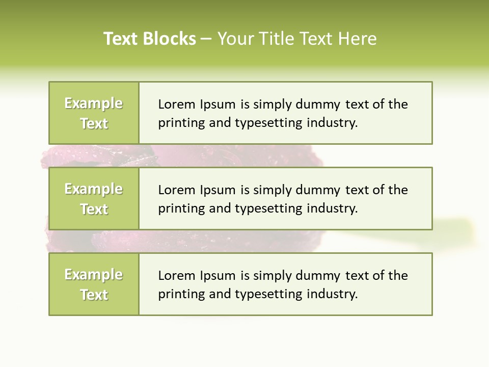 Fresh Color Cheerful PowerPoint Template