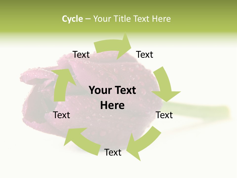 Fresh Color Cheerful PowerPoint Template