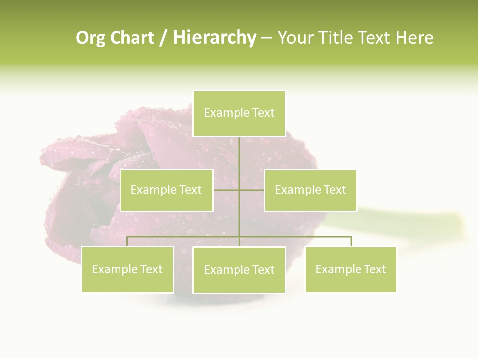 Fresh Color Cheerful PowerPoint Template