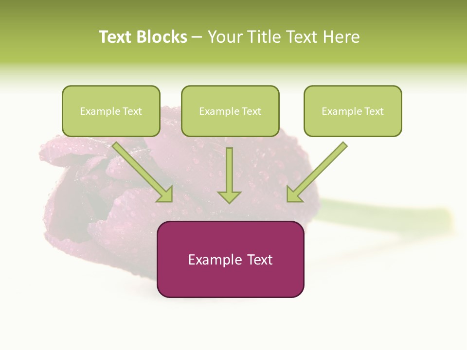 Fresh Color Cheerful PowerPoint Template