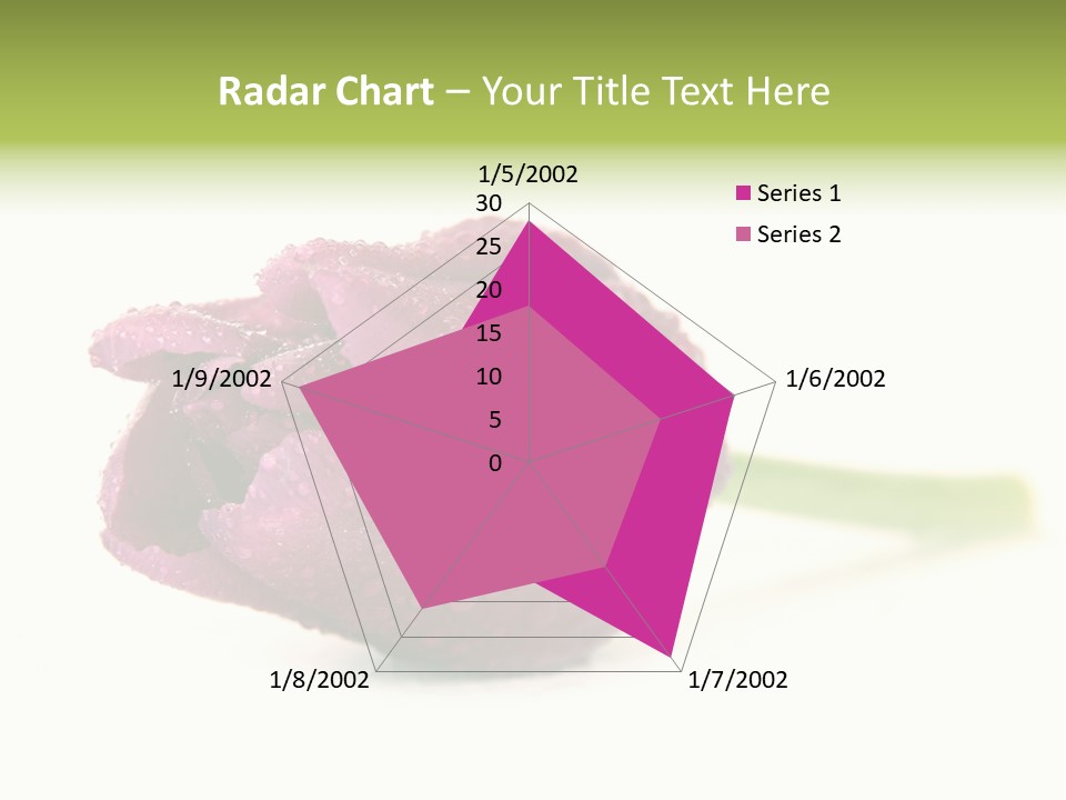Fresh Color Cheerful PowerPoint Template