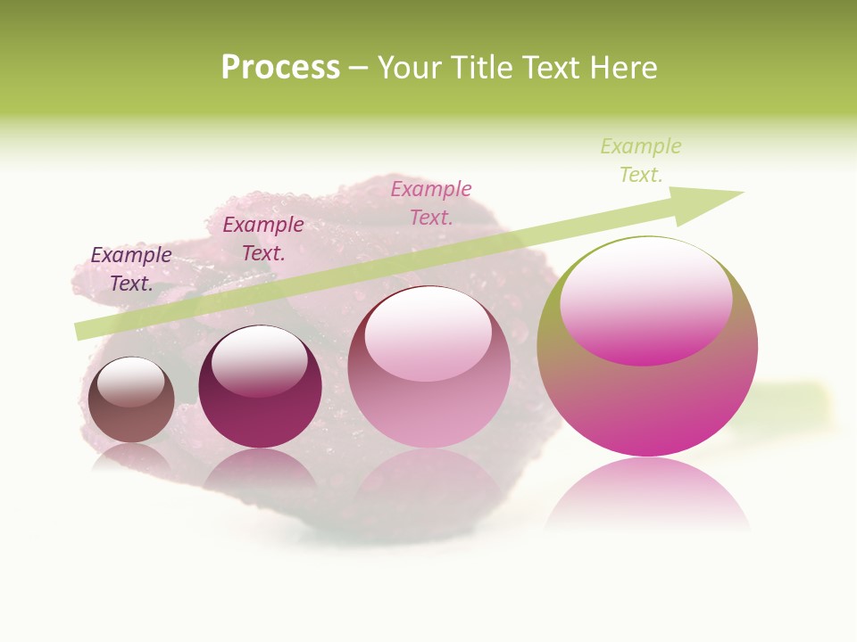 Fresh Color Cheerful PowerPoint Template