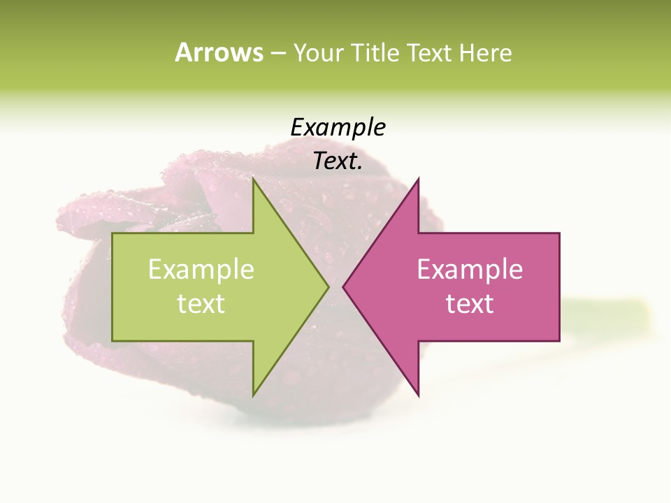 Fresh Color Cheerful PowerPoint Template