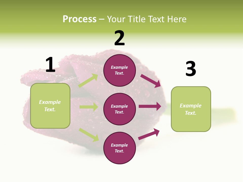 Fresh Color Cheerful PowerPoint Template