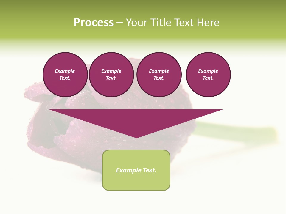 Fresh Color Cheerful PowerPoint Template