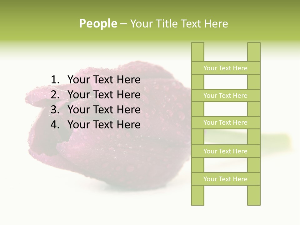 Fresh Color Cheerful PowerPoint Template