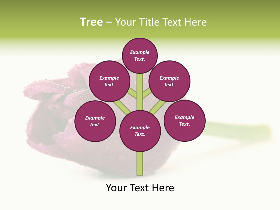 Fresh Color Cheerful PowerPoint Template