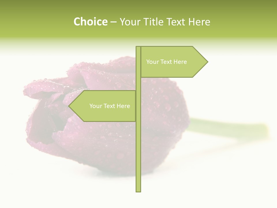 Fresh Color Cheerful PowerPoint Template