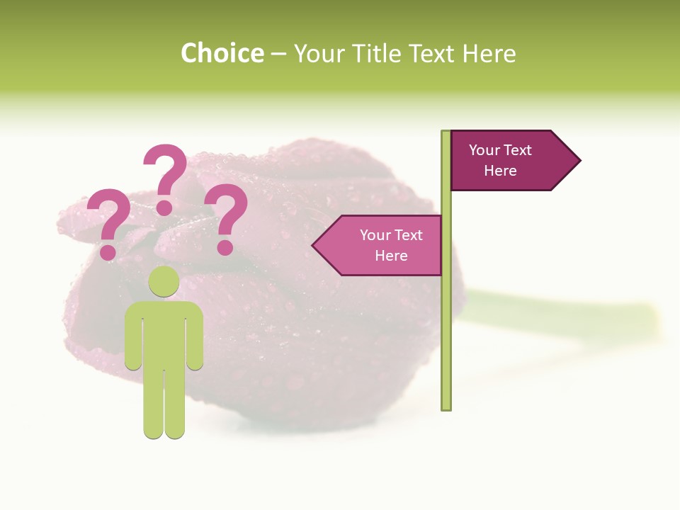 Fresh Color Cheerful PowerPoint Template