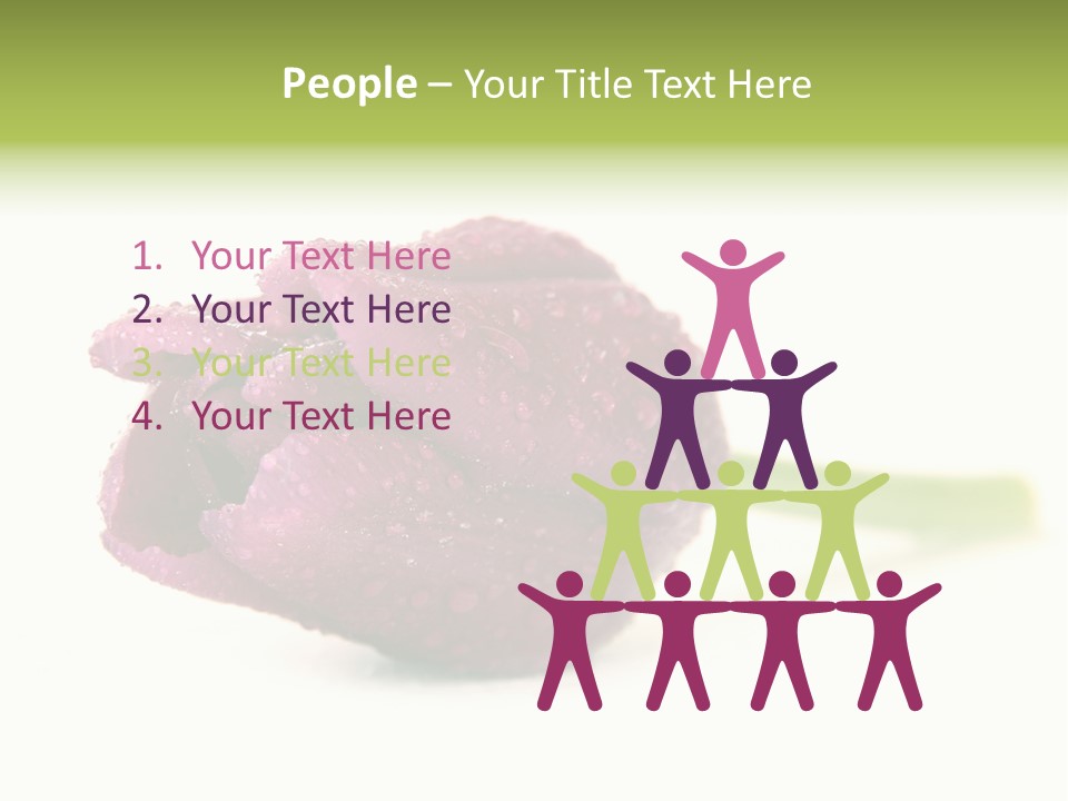 Fresh Color Cheerful PowerPoint Template